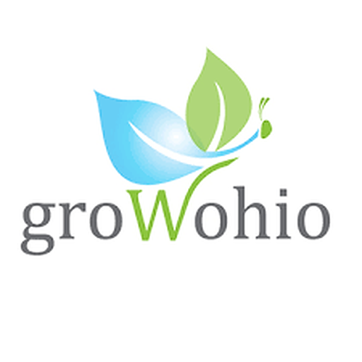 Grow Ohio 11 Butterfly Effect One Day Tincture 220mg 1oz Leafly